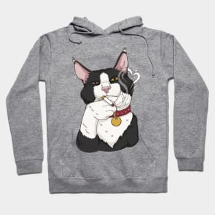 Cool Cat Hoodie